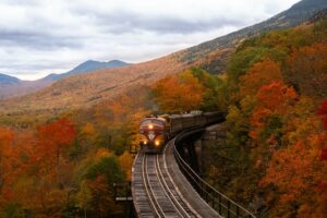 El tren de la vida: Reflexiones sobre el camino y el destino
